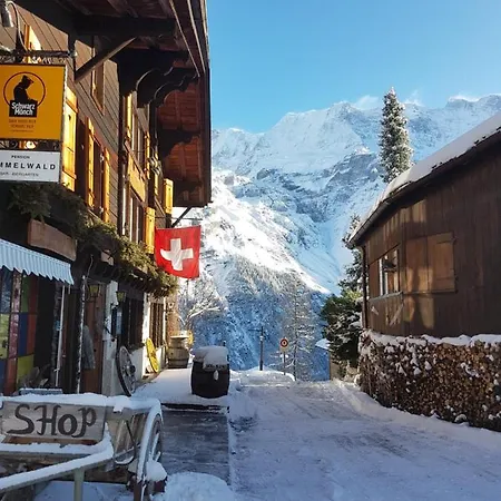 Pension Gimmelwald Pensión *