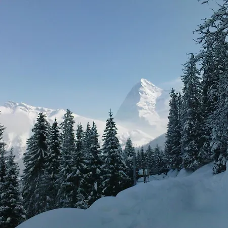 Pension Gimmelwald Pensión *