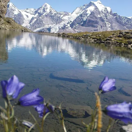 Pension Gimmelwald Guest house