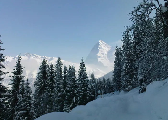 Pension Gimmelwald Penzion *