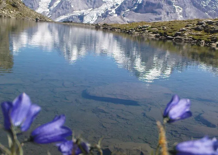 Penzion Pension Gimmelwald Gimmelwald